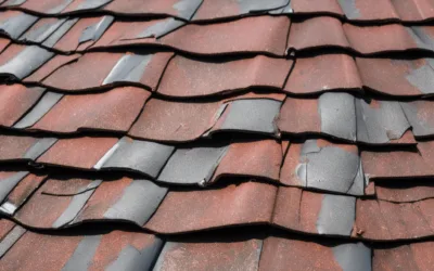 Wind and Hail Damage: Roof Repair Tips for New Tampa Homeowners
